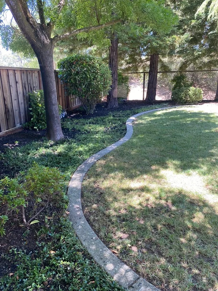 Trusted yard maintenance near you across Antioch, CA - JL Landscaping