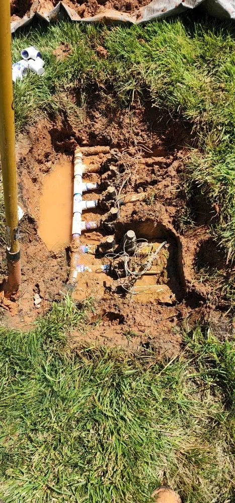 Reliable yard cleanup service in Charlotte, NC by JL Landscaping