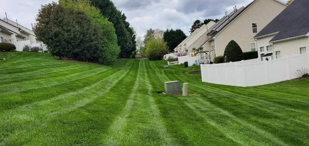 Professional yard cleanup service for beautiful yards across Charlotte, NC - JL Landscaping
