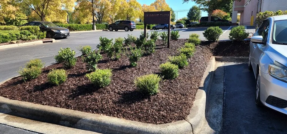 Trusted garden landscaping for year-round maintenance in Charlotte, NC by JL Landscaping