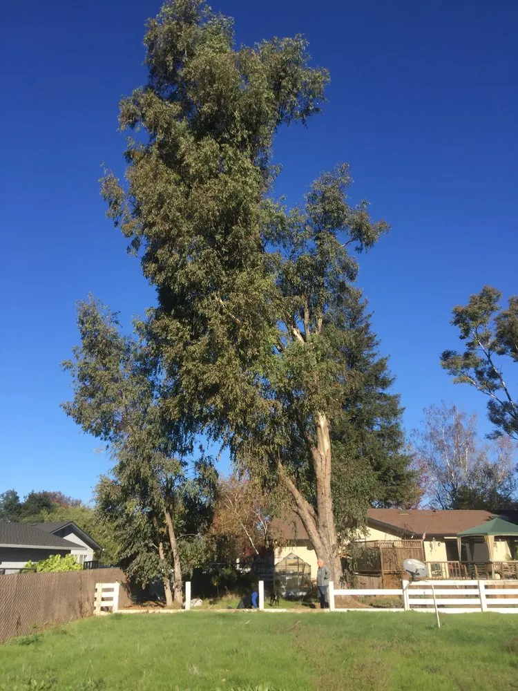 Top-rated residential landscaping for outdoor upgrades in Gilroy, CA by J.L Landscaping