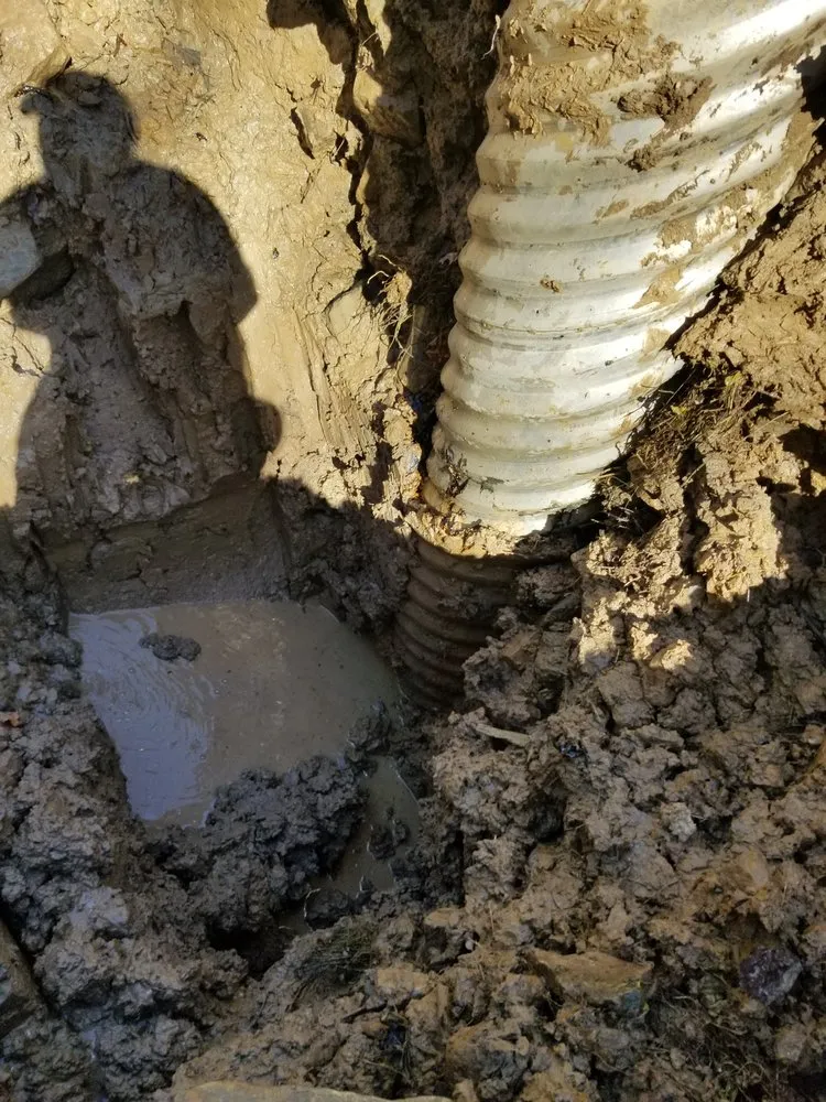 Top-rated yard cleanup service experts serving Tazewell, VA - J&L Landscaping