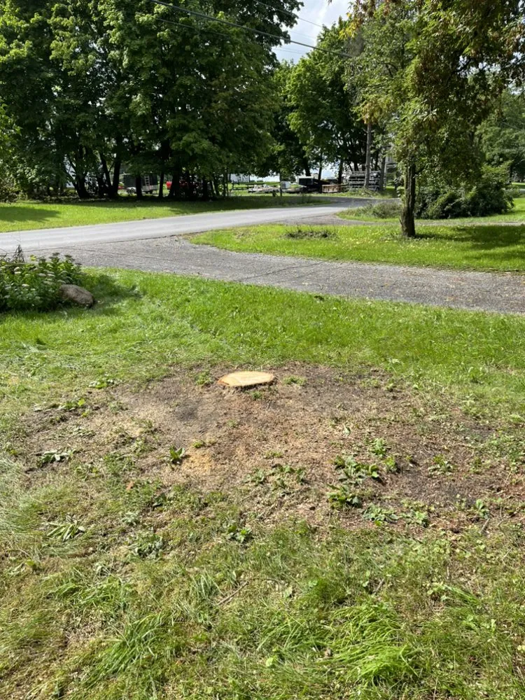Reliable lawn mowing service for residential properties across Hall, NY - J&L Lawn And Property Maintenance