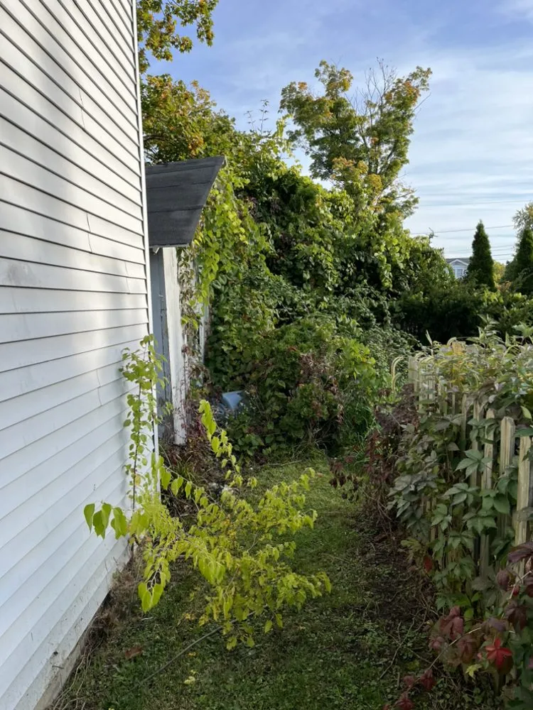 Top-rated residential landscaping experts serving Hall, NY - J&L Lawn And Property Maintenance