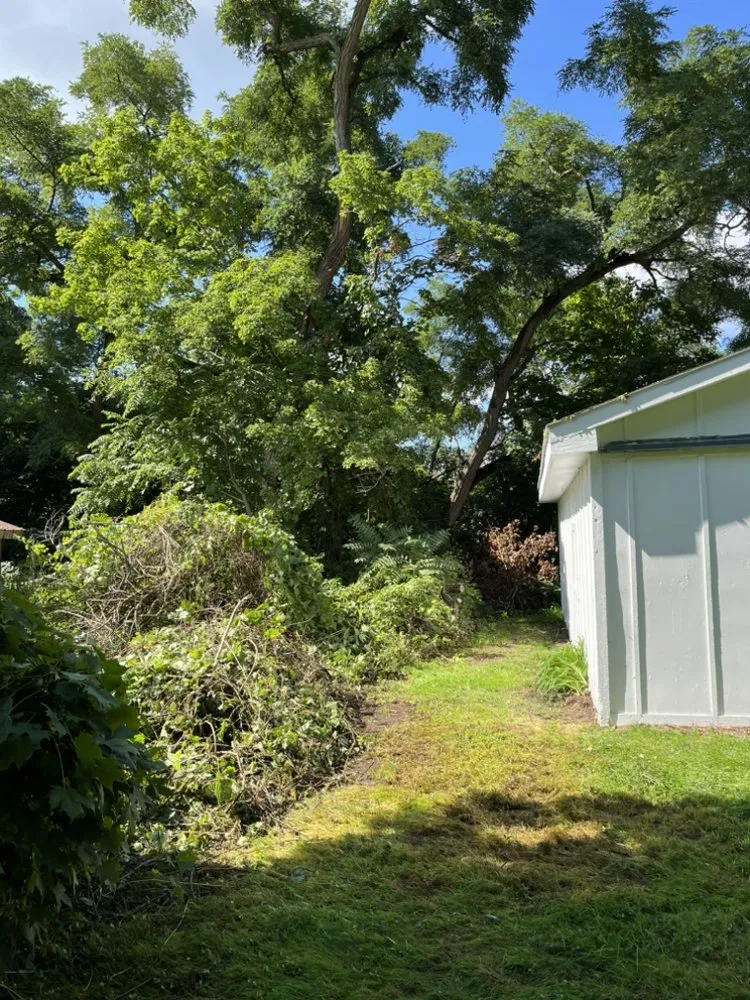 Expert outdoor landscaping in Hall, NY - J&L Lawn And Property Maintenance