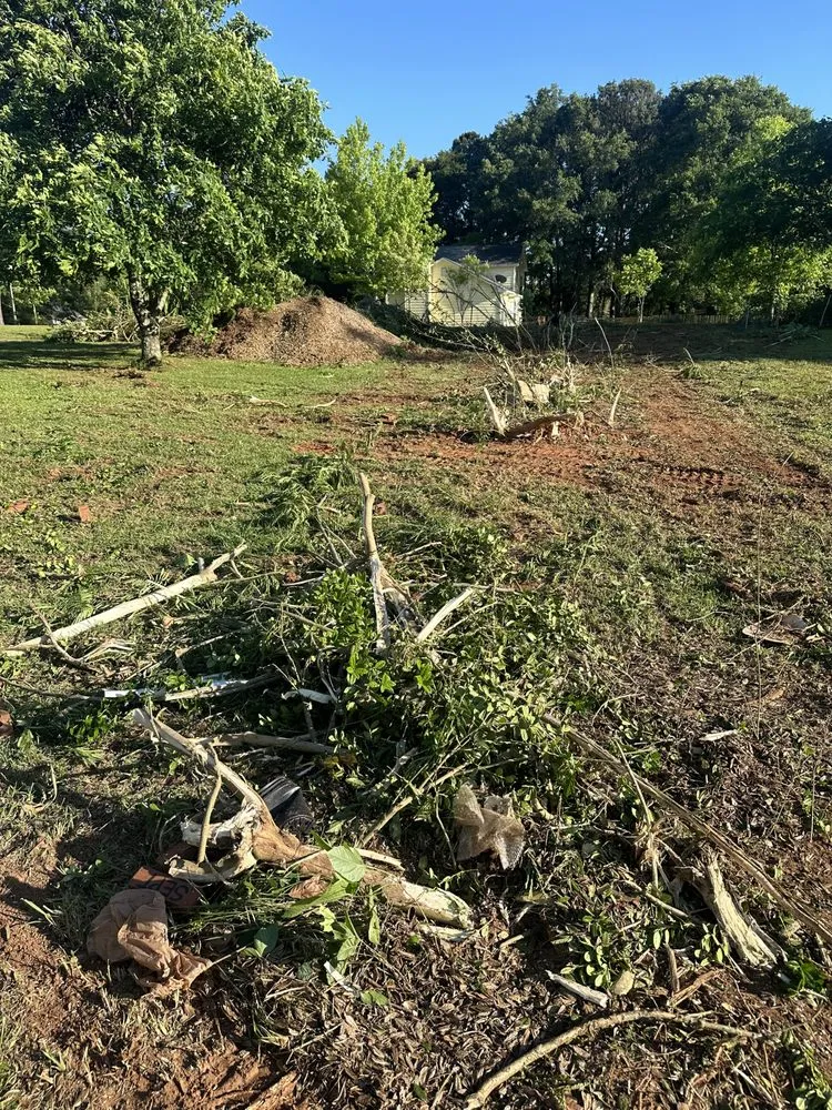 Trusted outdoor landscaping for residential properties across Locust Grove, GA - JL Lawn Care & Landscaping