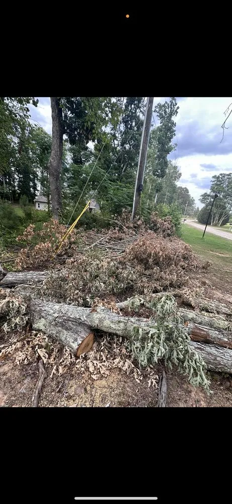 Trusted residential landscaping for year-round maintenance in Locust Grove, GA by JL Lawn Care & Landscaping