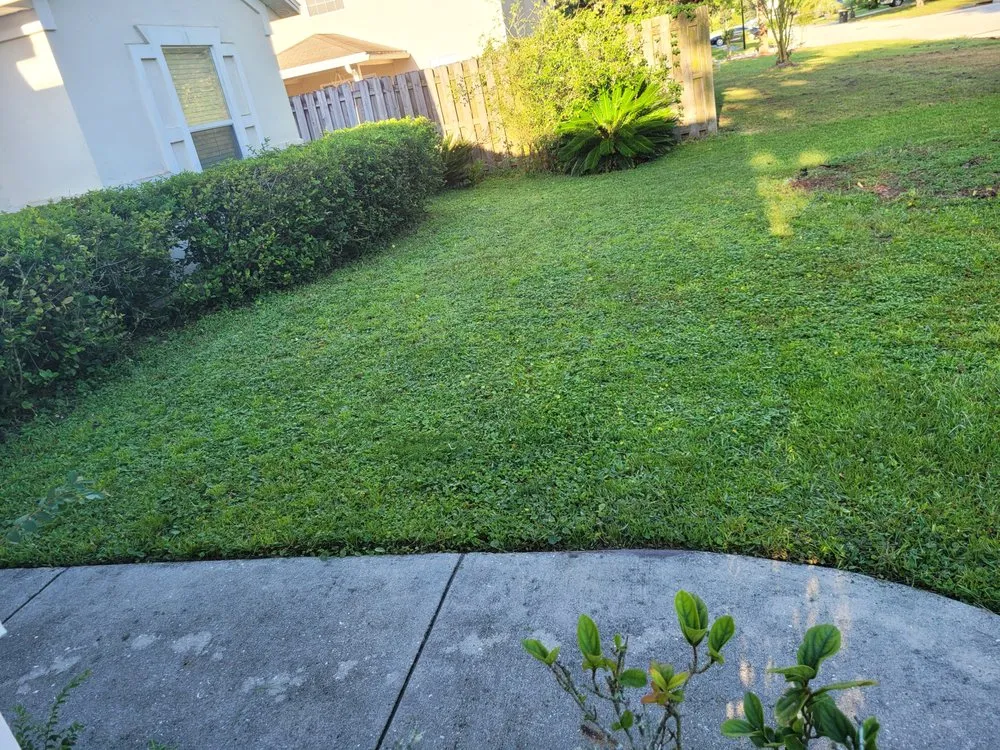 Trusted landscape installation experts serving Jacksonville, FL - JL Lawn Care