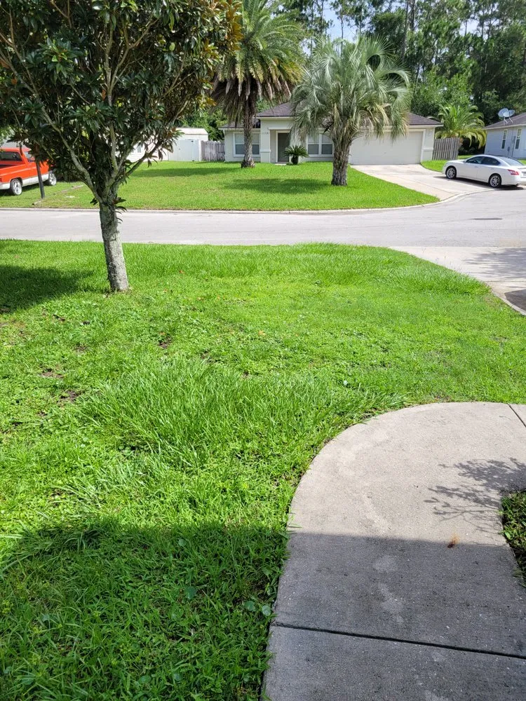 Local yard maintenance in Jacksonville, FL by JL Lawn Care