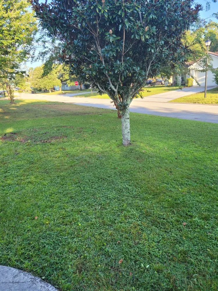 Affordable lawn mowing service experts serving Jacksonville, FL - JL Lawn Care