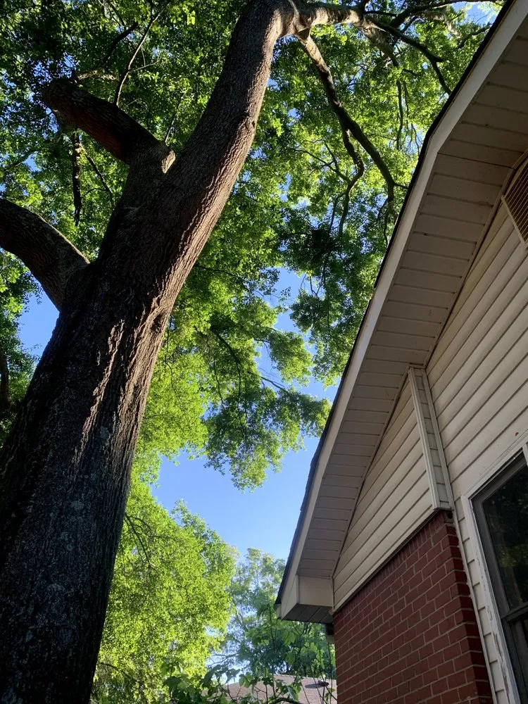 Trusted residential landscaping with custom design across Marietta, GA - JL Lawn Care