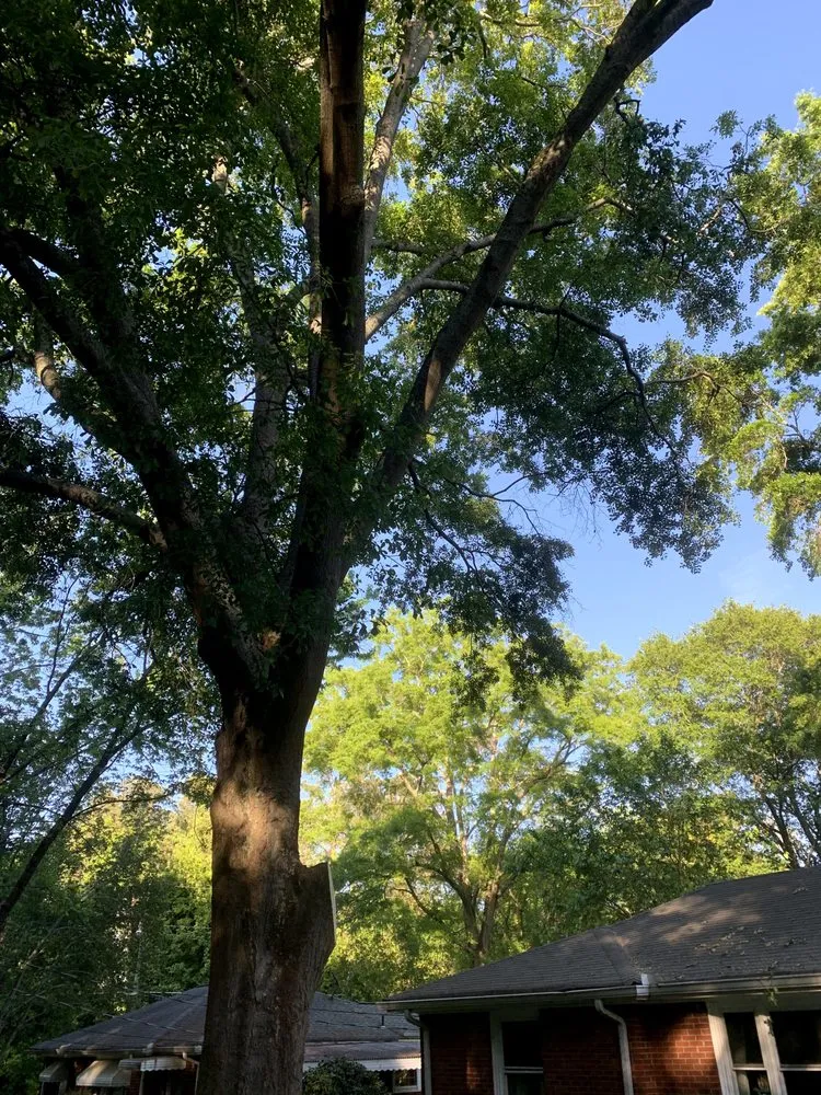 Local landscaping services for outdoor upgrades in Marietta, GA by JL Lawn Care