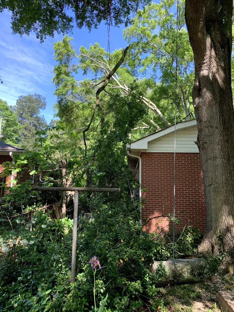 Trusted lawn care service in Marietta, GA - JL Lawn Care