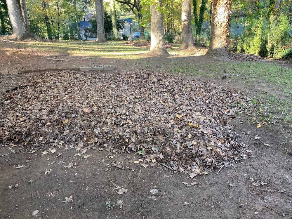 Top-rated lawn care service for year-round maintenance across Marietta, GA - JL Lawn Care