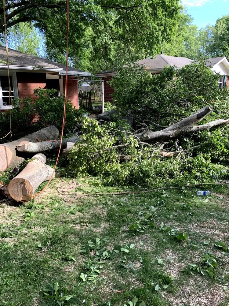 Trusted outdoor landscaping in Marietta, GA - JL Lawn Care