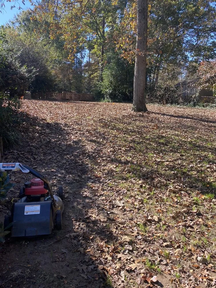 Expert residential landscaping with custom design in Marietta, GA by JL Lawn Care