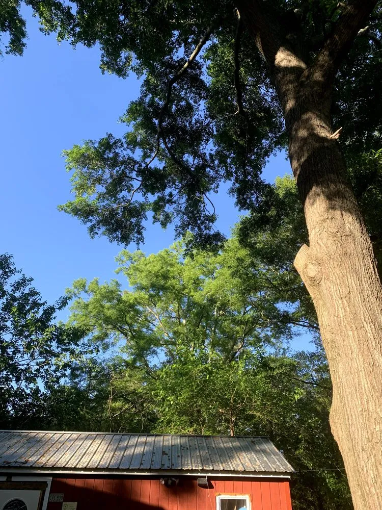 Local residential landscaping in Marietta, GA - JL Lawn Care