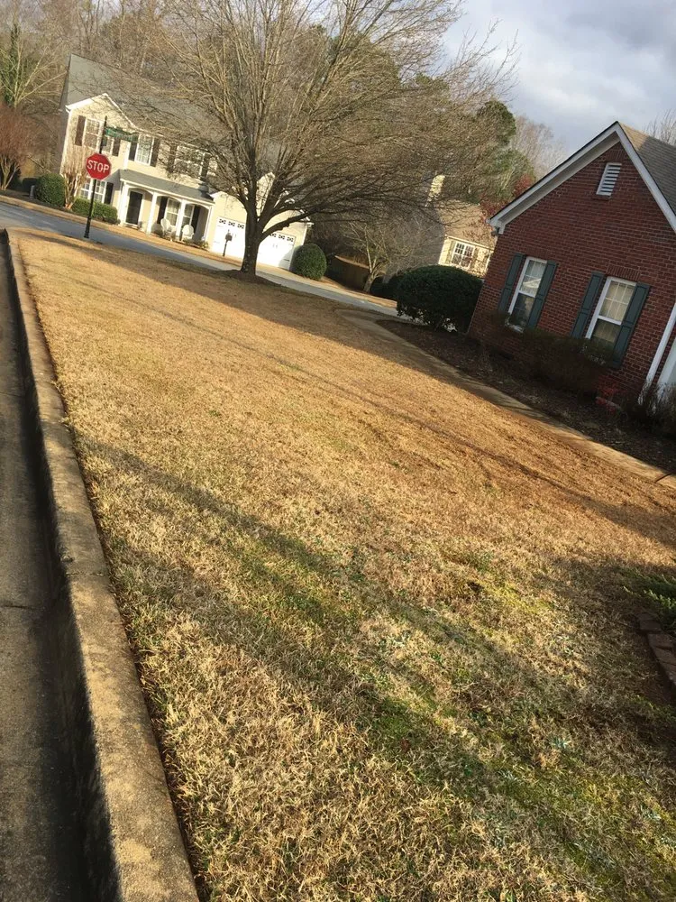 Custom lawn care service in Marietta, GA - JL Lawn Care