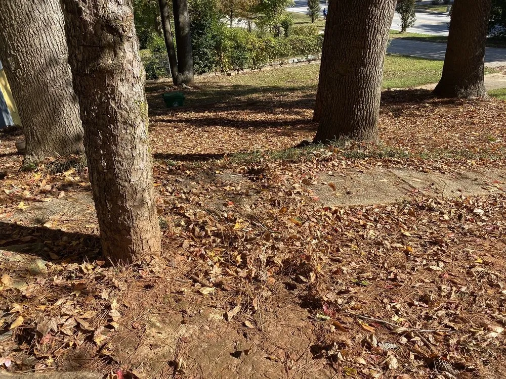 Local yard maintenance in Marietta, GA - JL Lawn Care