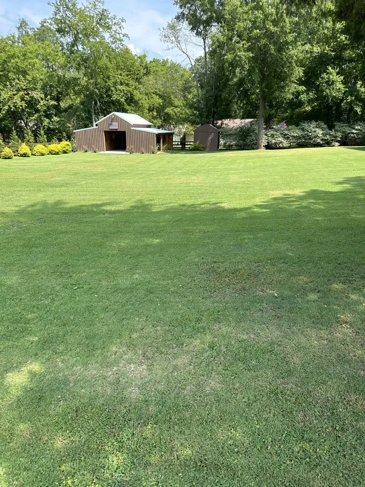 Professional yard cleanup service for residential properties in Moulton, AL by J&L Lawn Care