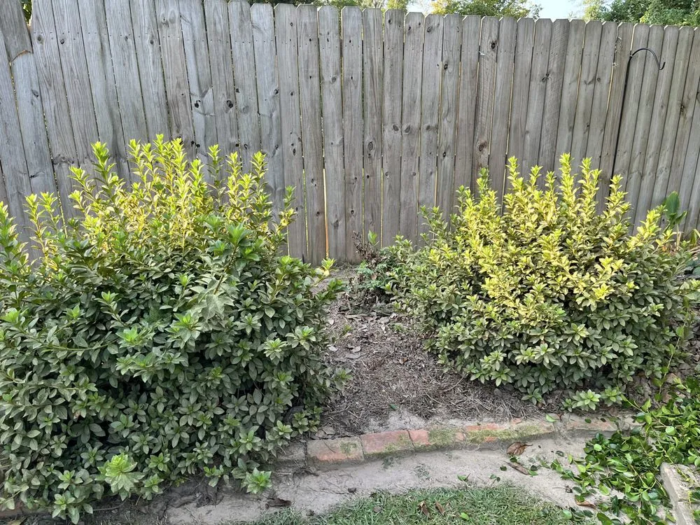 Trusted garden landscaping in Leesville, LA by J&L Lawn Service & More