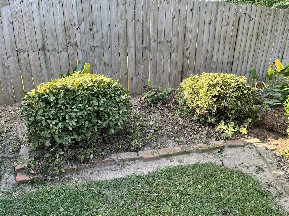 Local landscaping services in Leesville, LA by J&L Lawn Service & More