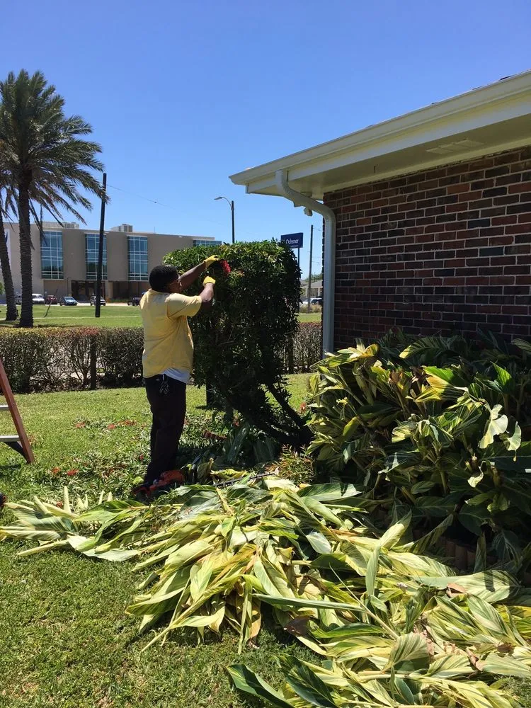 Expert lawn mowing service in New Orleans, LA - J&L Lawn Service