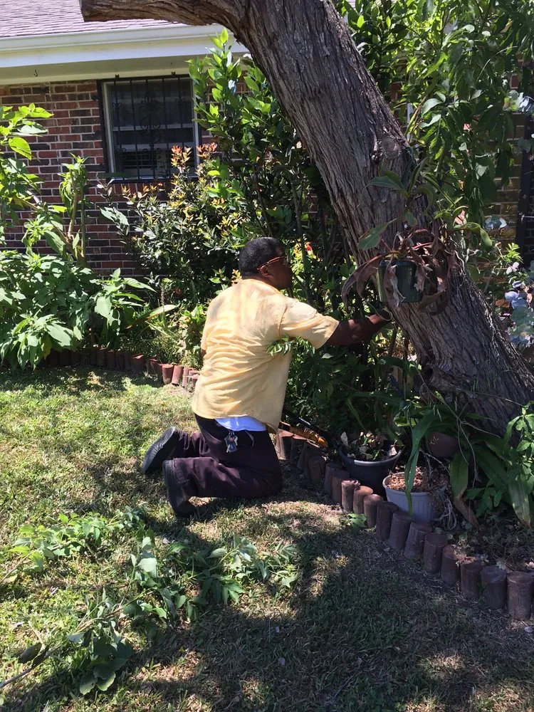 Expert garden landscaping for beautiful yards in New Orleans, LA by J&L Lawn Service