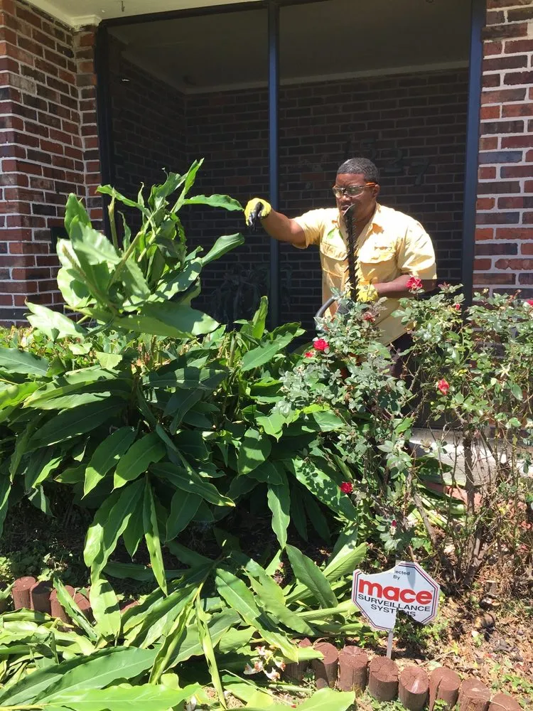 Affordable landscape installation experts serving New Orleans, LA - J&L Lawn Service