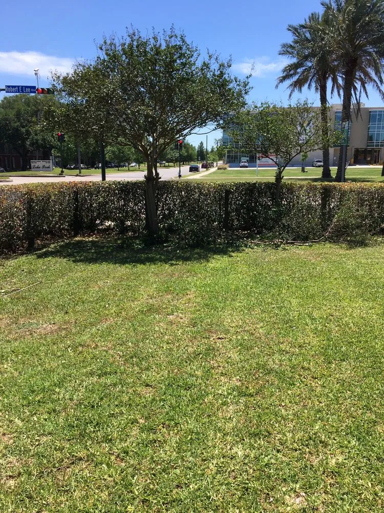 Top-rated landscape design for year-round maintenance across New Orleans, LA - J&L Lawn Service