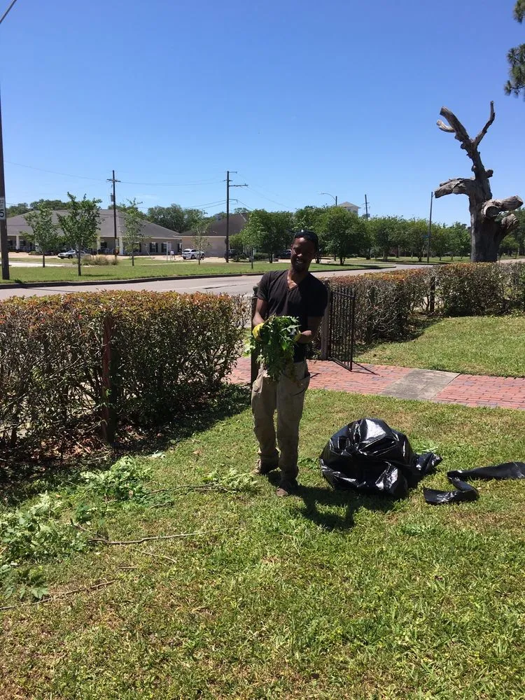 Professional landscaping services in New Orleans, LA by J&L Lawn Service