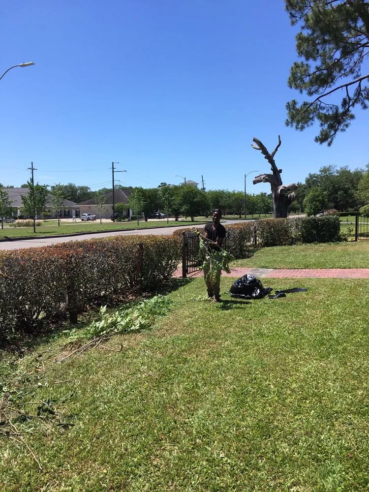 Reliable lawn care service in New Orleans, LA by J&L Lawn Service