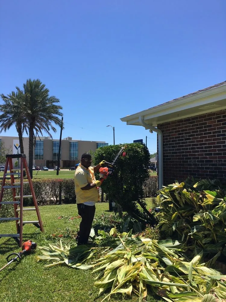 Affordable landscaping services with custom design in New Orleans, LA by J&L Lawn Service