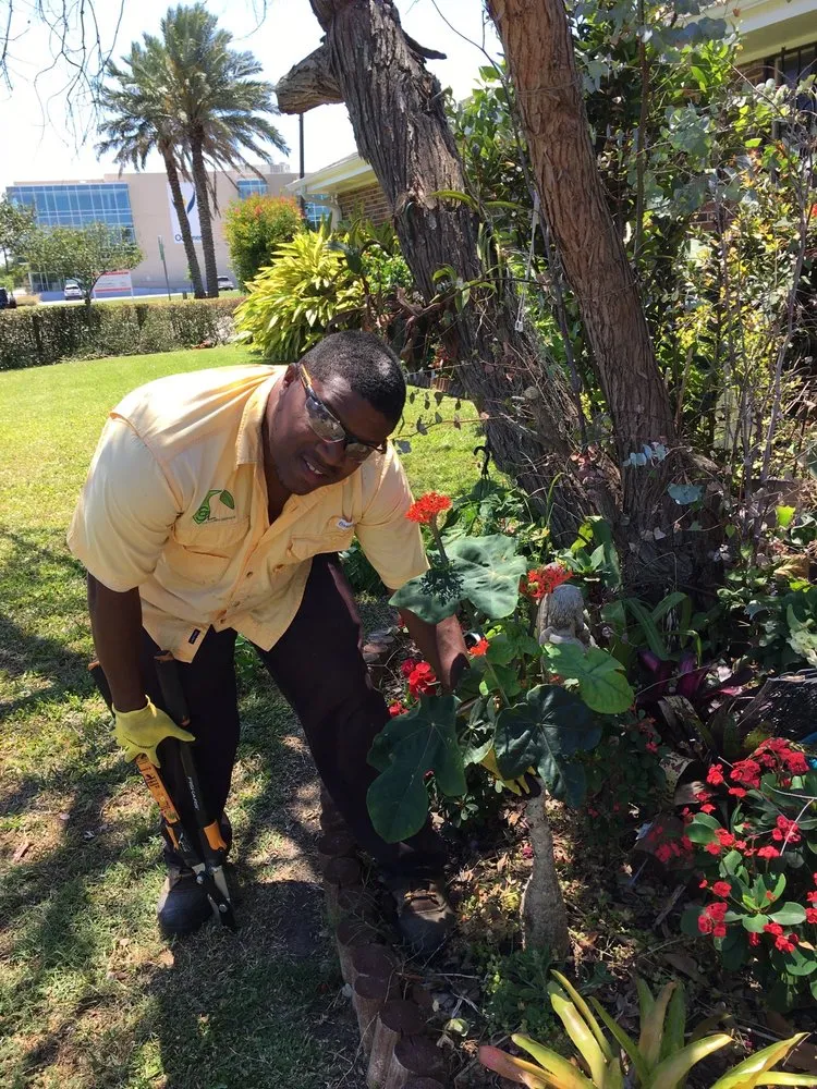 Local residential landscaping experts serving New Orleans, LA - J&L Lawn Service