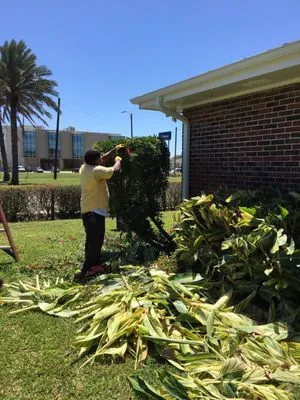 J&L Lawn Service Logo