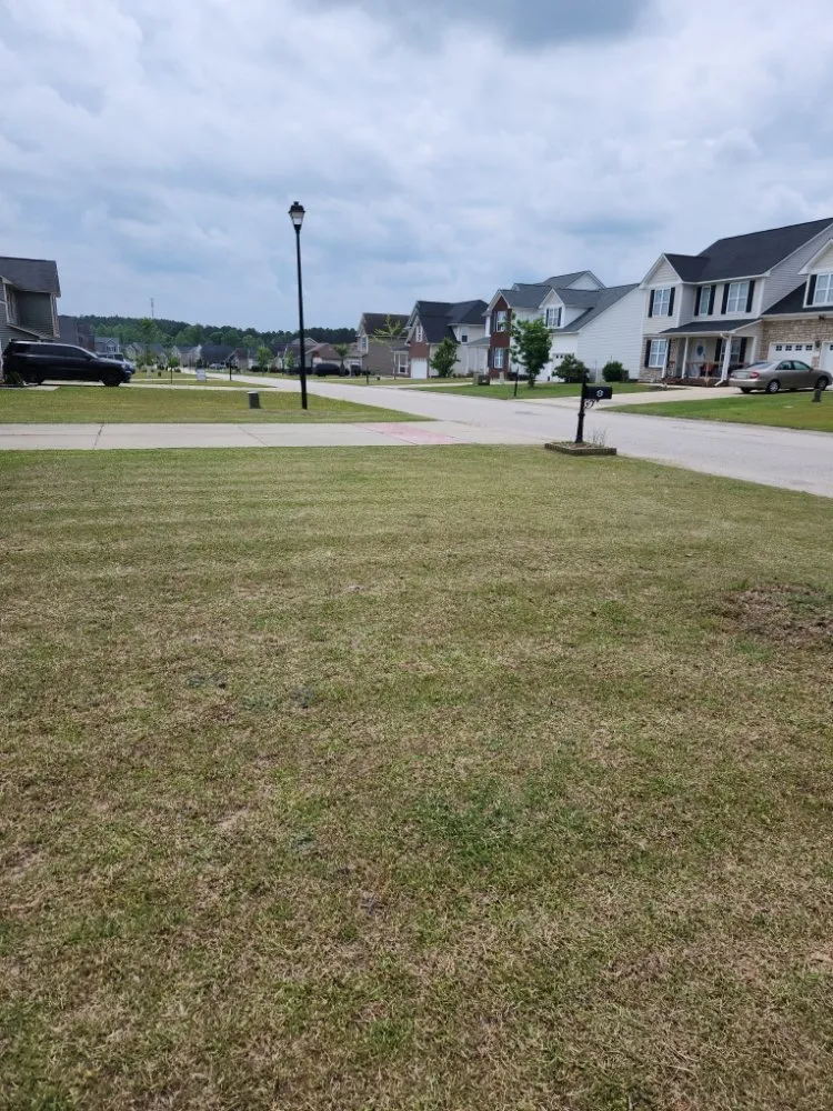 Trusted lawn mowing service experts serving Bunnlevel, NC - J&L Lawncare & Auto Detailing