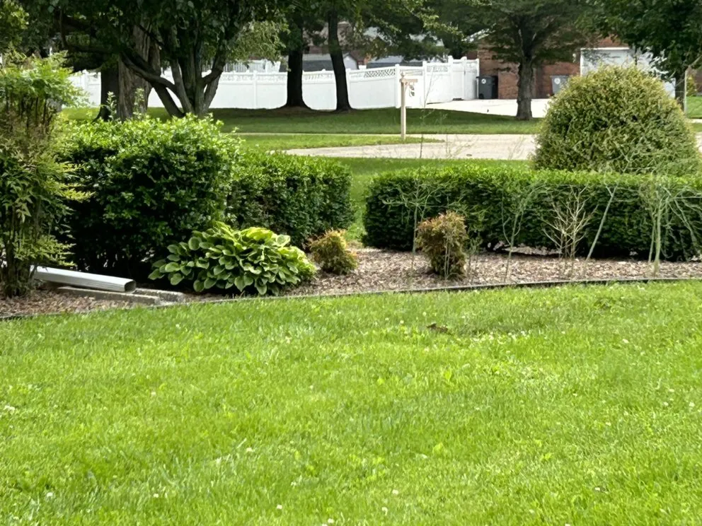 Professional lawn mowing service near you in Poseyville, IN by J&L LawnCare