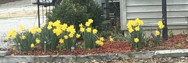 Local landscape design in Poseyville, IN - J&L LawnCare