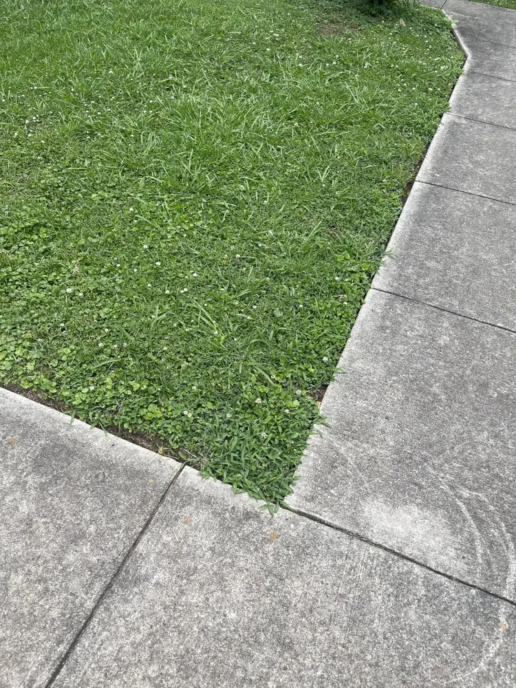 Local yard cleanup service with custom design across South Pittsburg, TN - J&L Lawncare