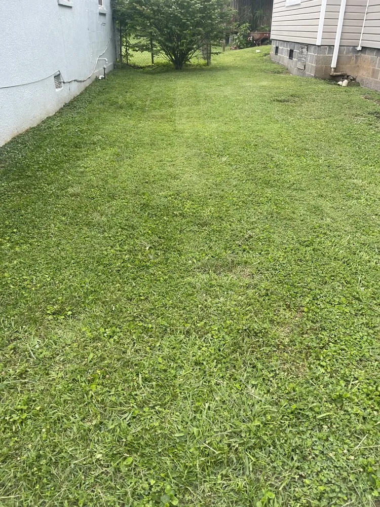 Local yard maintenance for outdoor upgrades in South Pittsburg, TN by J&L Lawncare