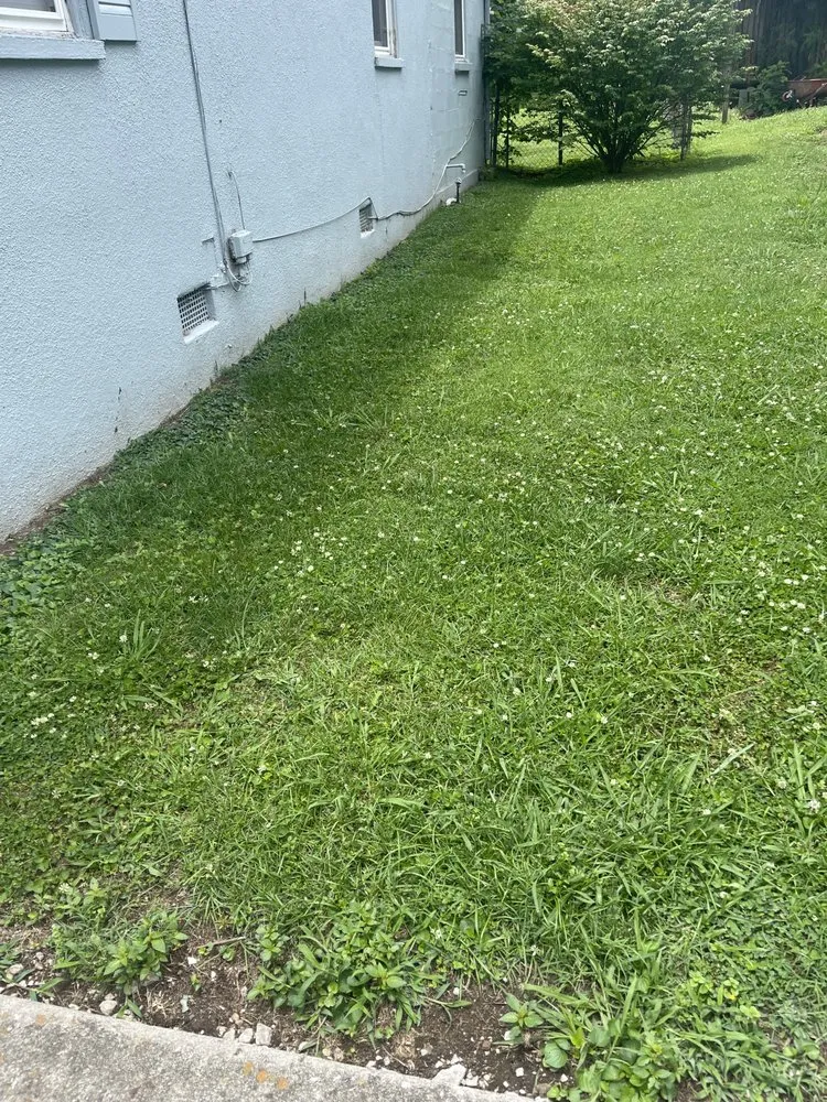 Affordable yard cleanup service for homes in South Pittsburg, TN by J&L Lawncare