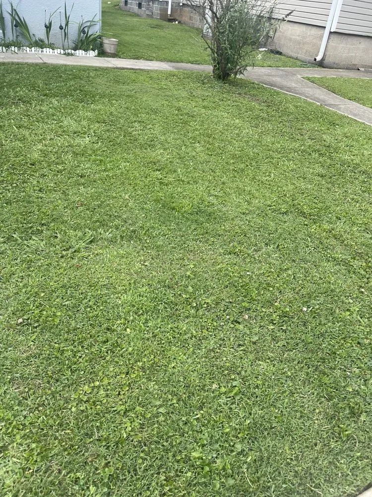 Custom landscape design experts serving South Pittsburg, TN - J&L Lawncare