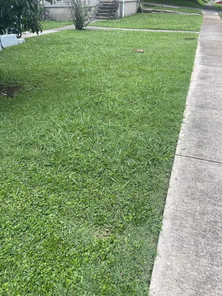 Custom garden landscaping for residential properties in South Pittsburg, TN by J&L Lawncare