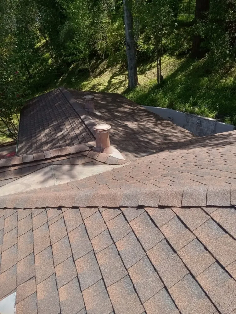 Trusted yard cleanup service in Novato, CA - JL Martinez