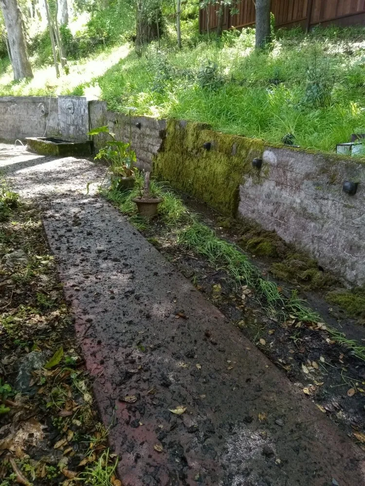 Custom outdoor landscaping for beautiful yards across Novato, CA - JL Martinez