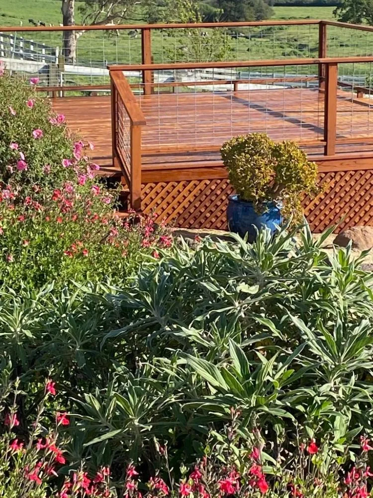 Trusted outdoor landscaping in Novato, CA by JL Martinez