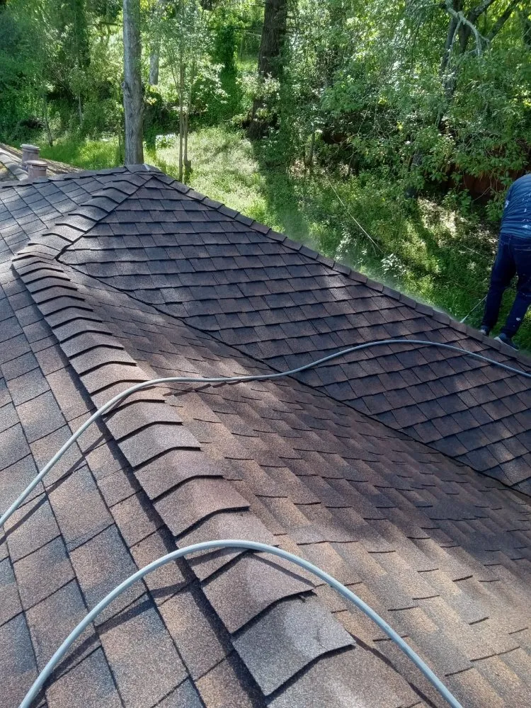 Expert landscaping services for beautiful yards across Novato, CA - JL Martinez