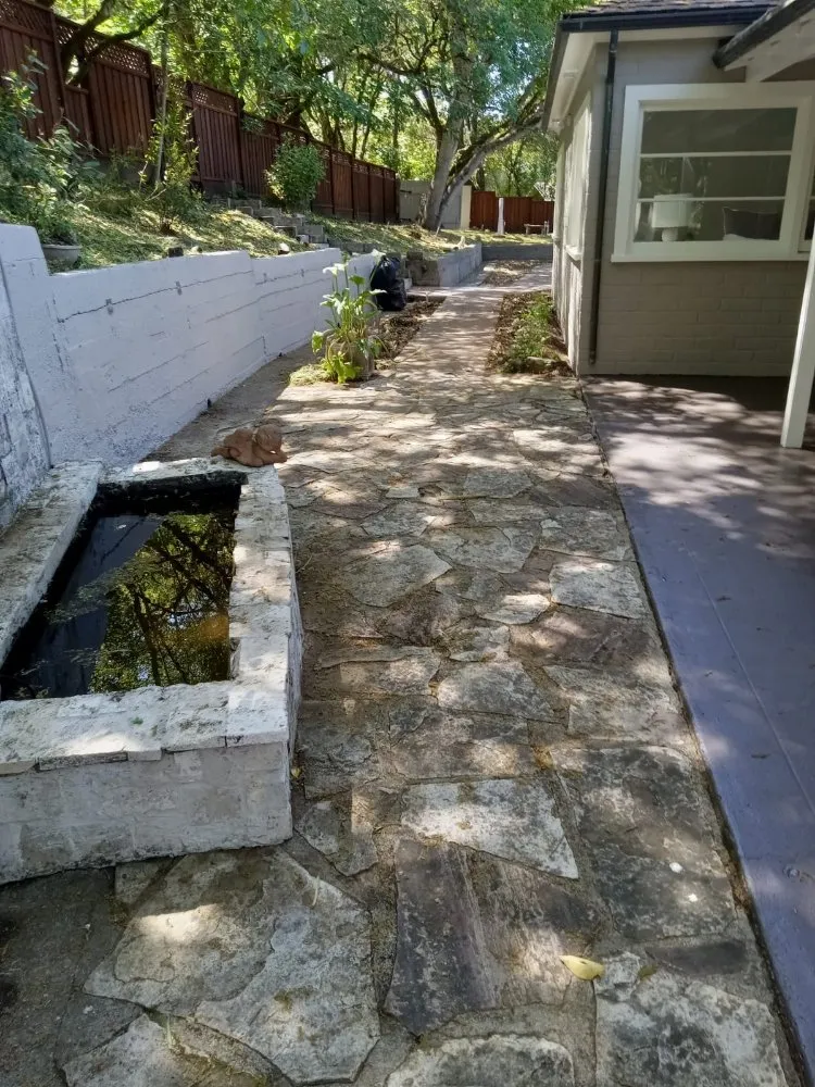 Affordable landscaping services experts serving Novato, CA - JL Martinez