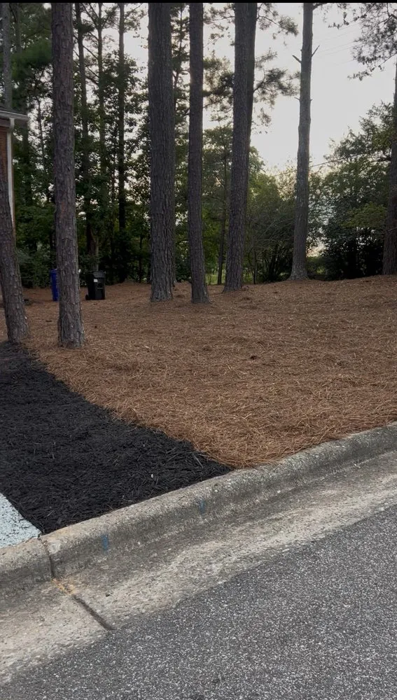 Professional yard cleanup service for year-round maintenance in Hillsborough, NC by JL Mexa Landscape