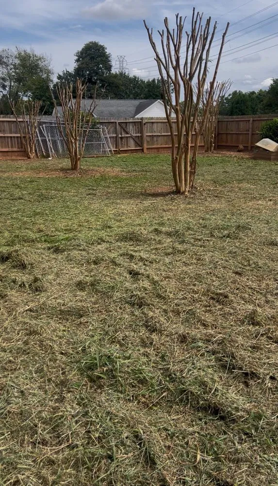 Professional residential landscaping for residential properties in Hillsborough, NC by JL Mexa Landscape